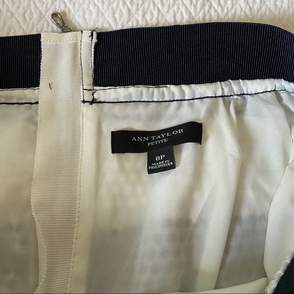 ANN TAYLOR Textural Polka Dot Striped Skirt Petite